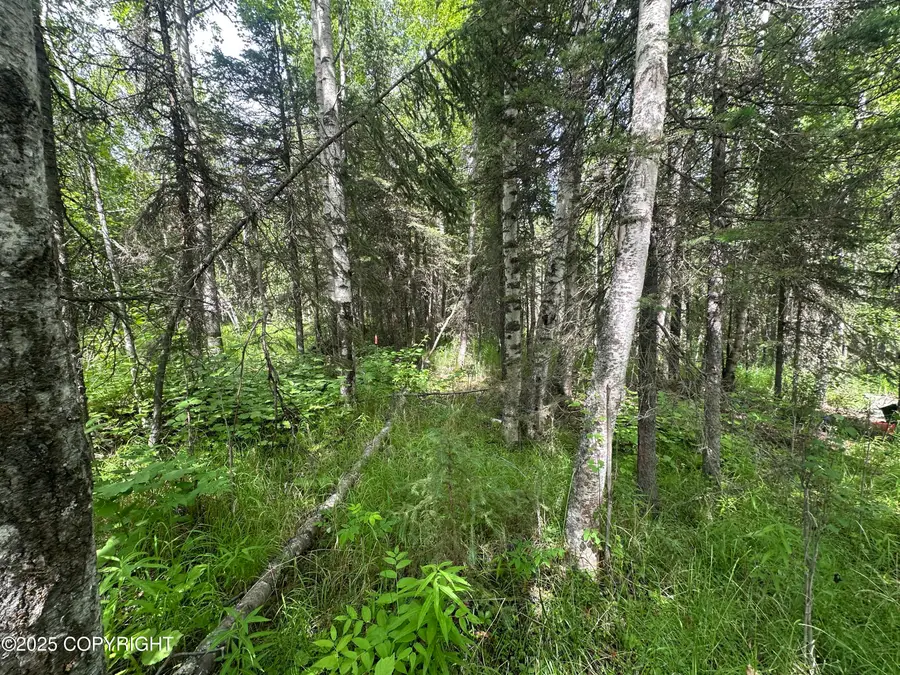 4001 S Vine Road, Wasilla, AK 99623 - Image #2