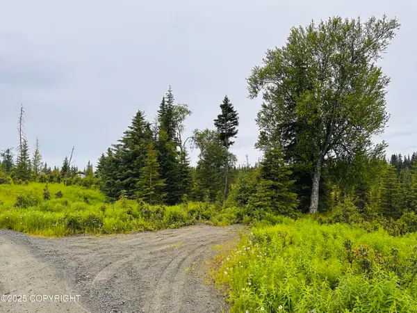 31315 Birch Haven Road, Anchor Point, AK 99556