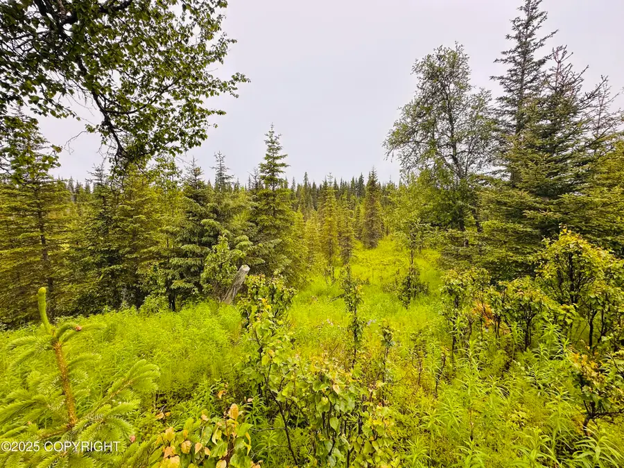 31315 Birch Haven Road, Anchor Point, AK 99556 - Image #3
