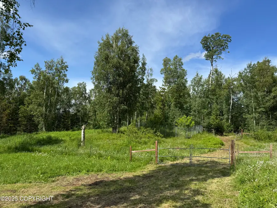 15800 E Shangrila Drive, Talkeetna, AK 99676 - Image #3