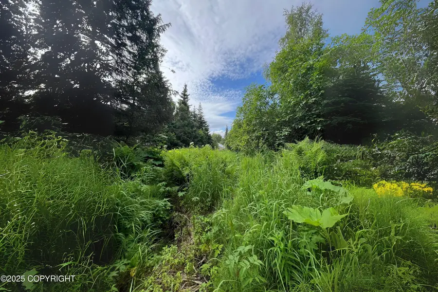 1611 E End Road, Homer, AK 99603 - Image #2