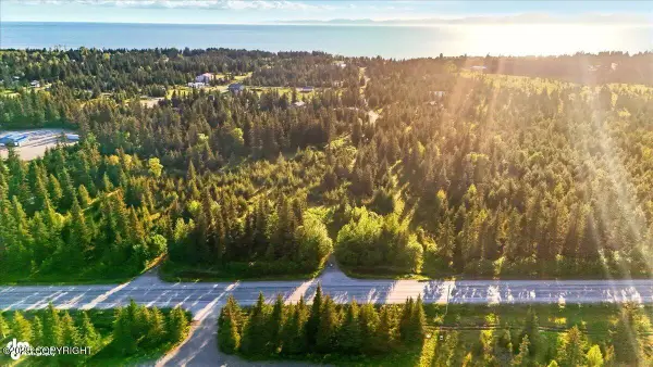 33135 Sterling Highway, Anchor Point, AK 99556