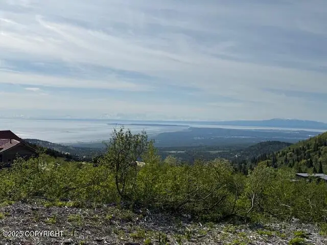 16345 Snow Bear Drive, Anchorage, AK 99516 - Image #2