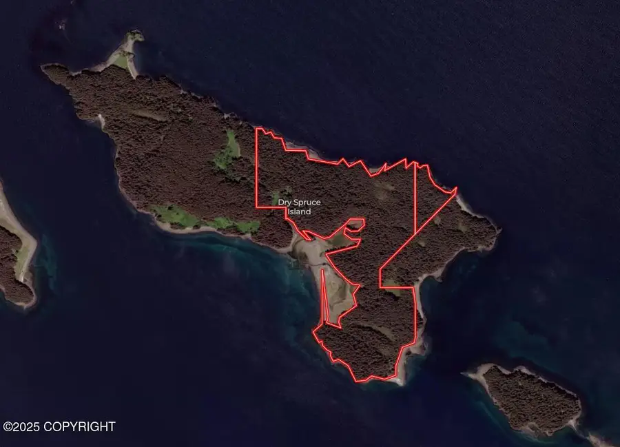 000 Dry Spruce Island, Port Lions, AK 99550 - Image #3