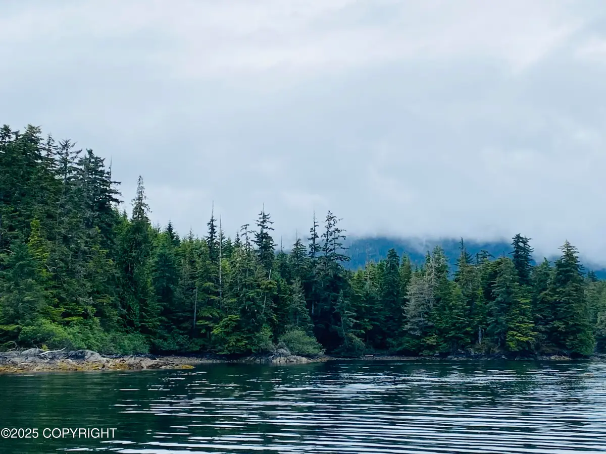 NSN Lot 4 Block E, Prince Of Wales, AK 99921 - Image #1