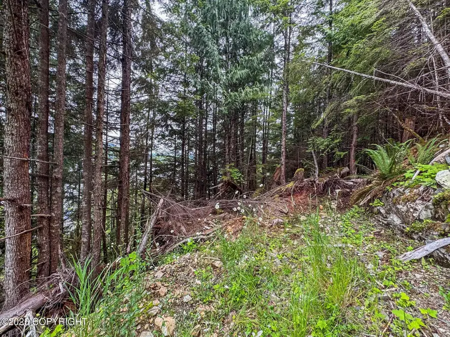 Lot DC-4 Shoreline Drive, Thorne Bay, AK 99919 - Image #3