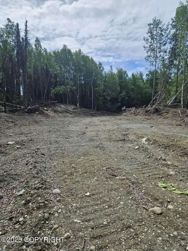 10267 N Buckingham Palace, Willow, AK 99688