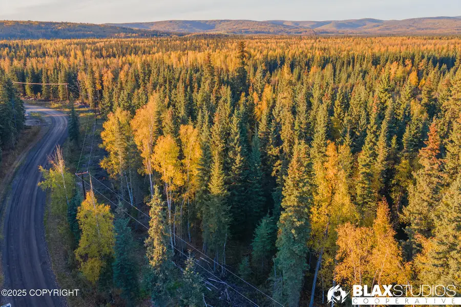 Lot 37 Maude Boyle Drive, North Pole, AK 99705 - Image #3