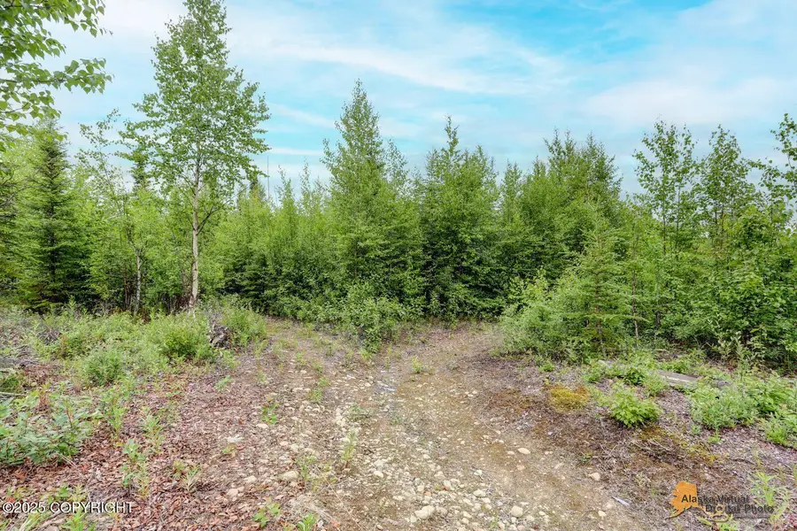 15639 W Wiggler Street, Meadow Lakes, AK 99652 - Image #2