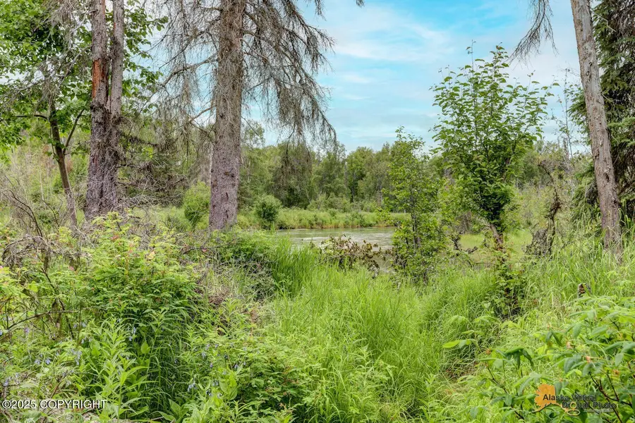 15639 W Wiggler Street, Meadow Lakes, AK 99652 - Image #3