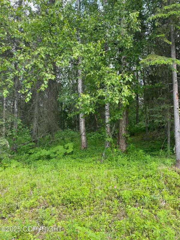 1511 S Kittiwake Street, Wasilla, AK 99645