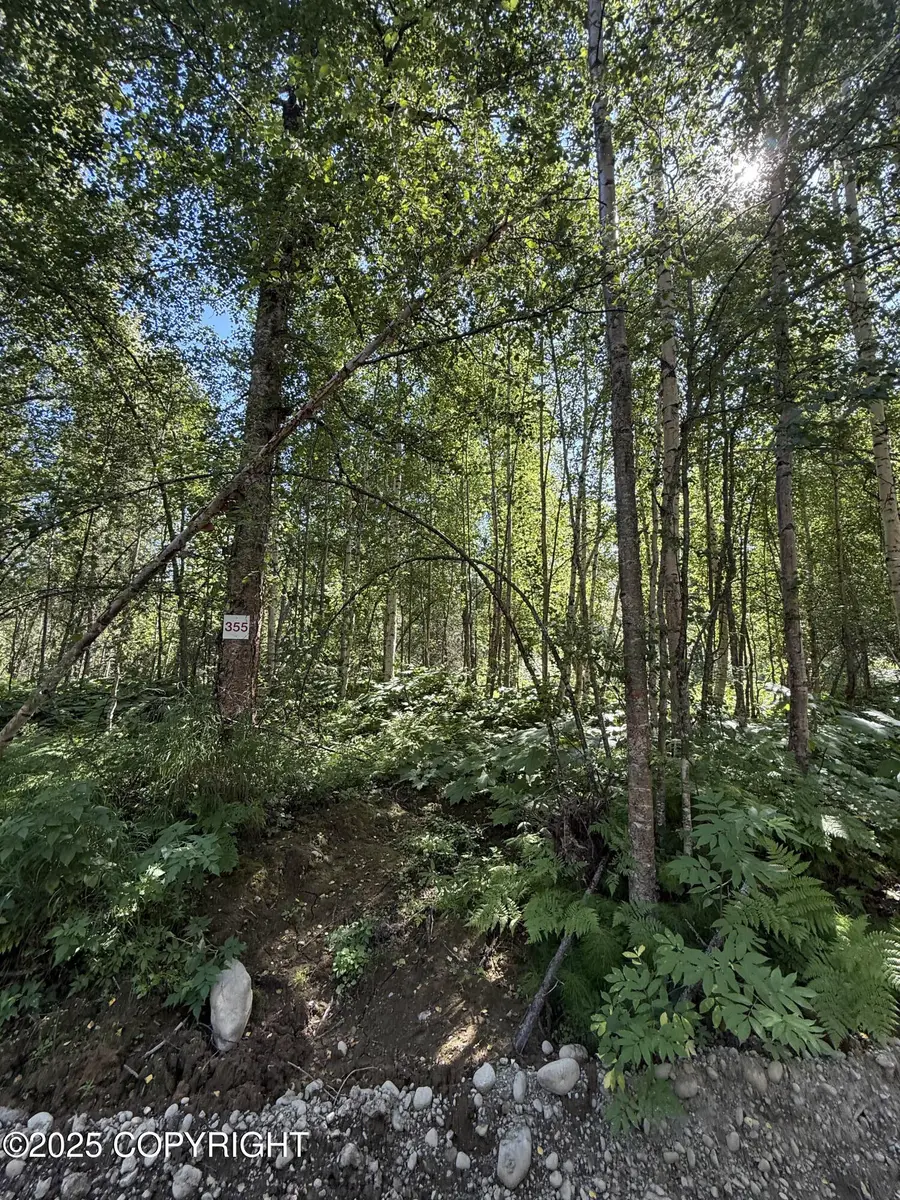 48321 S Dolly Varden Drive, Willow, AK 99688 - Image #3