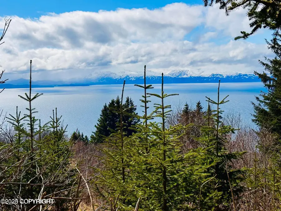 000 Highland Drive, Homer, AK 99603 - Image #2