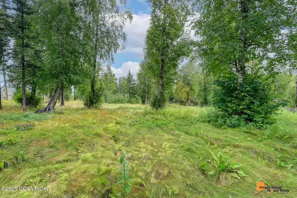 3261 S Charming Valley Loop, Palmer, AK 99645