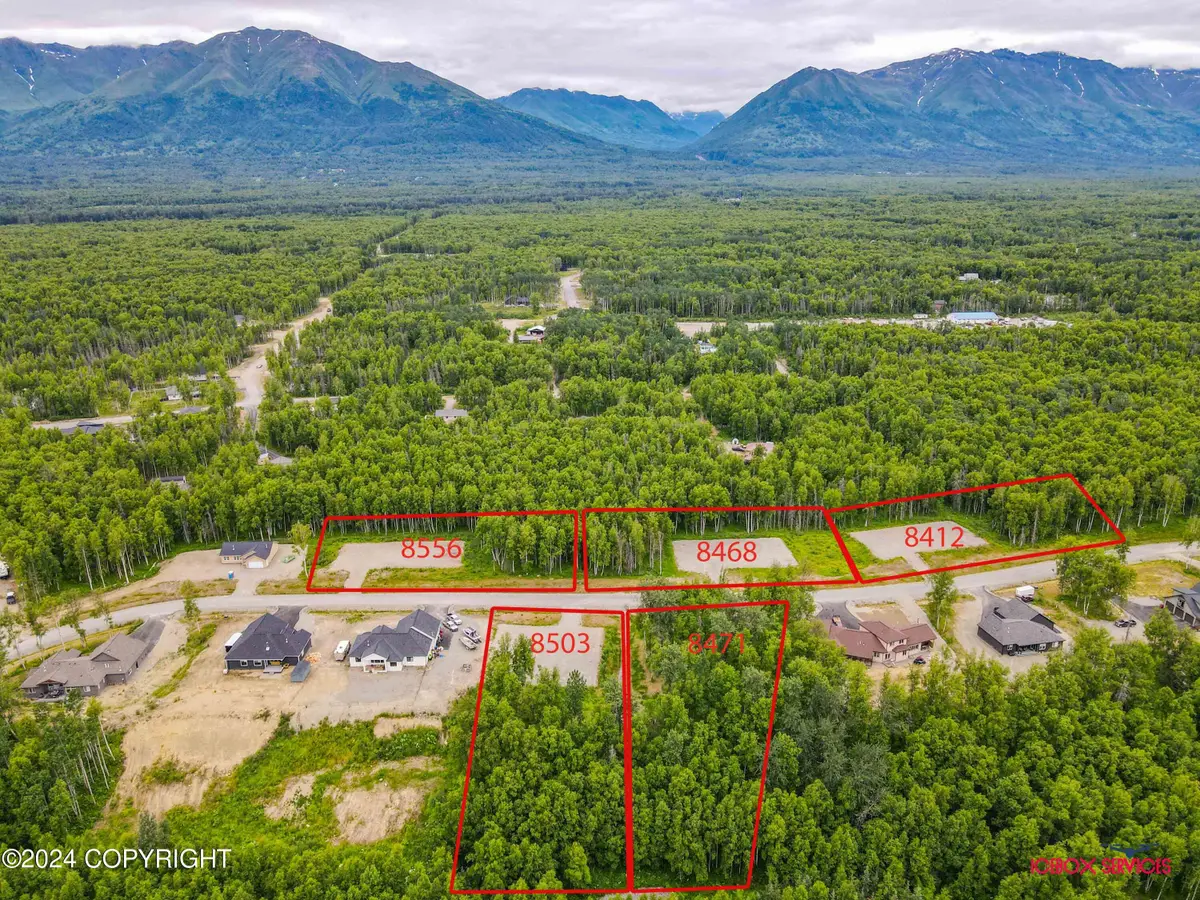 L6 E Windy Woods Loop, Palmer, AK 99645 - Image #1