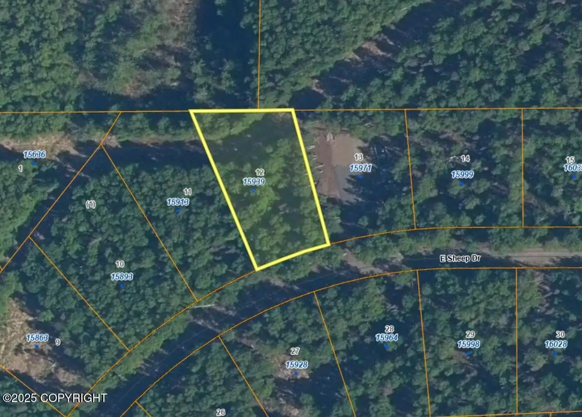 15939 E Sheep Drive, Talkeetna, AK 99676 - Image #1