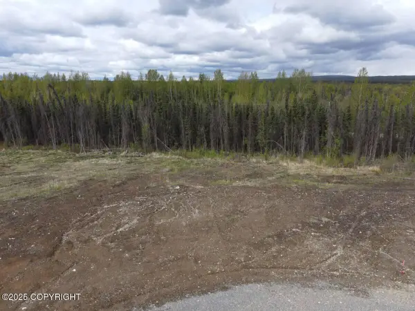 13455 W Excalibur Circle, Houston, AK 99694