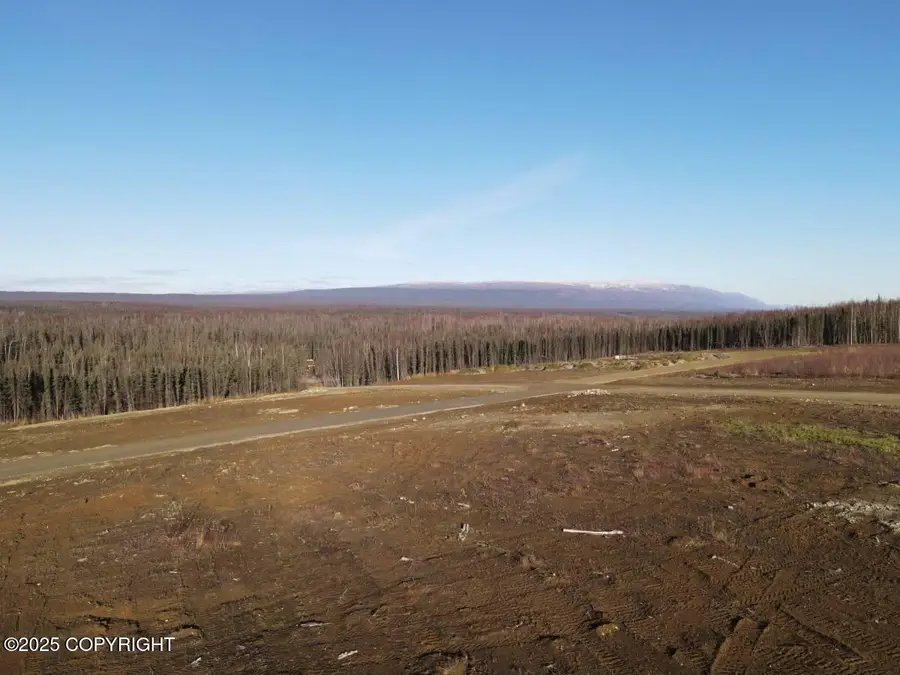 13458 W Exclibur Circle, Houston, AK 99694 - Image #2