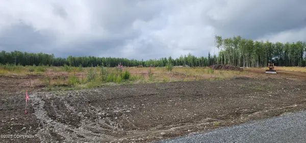 13422 W Excalibur Circle, Houston, AK 99694