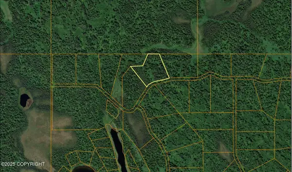 L5 B1 Anderson Creek, Skwentna, AK 99667