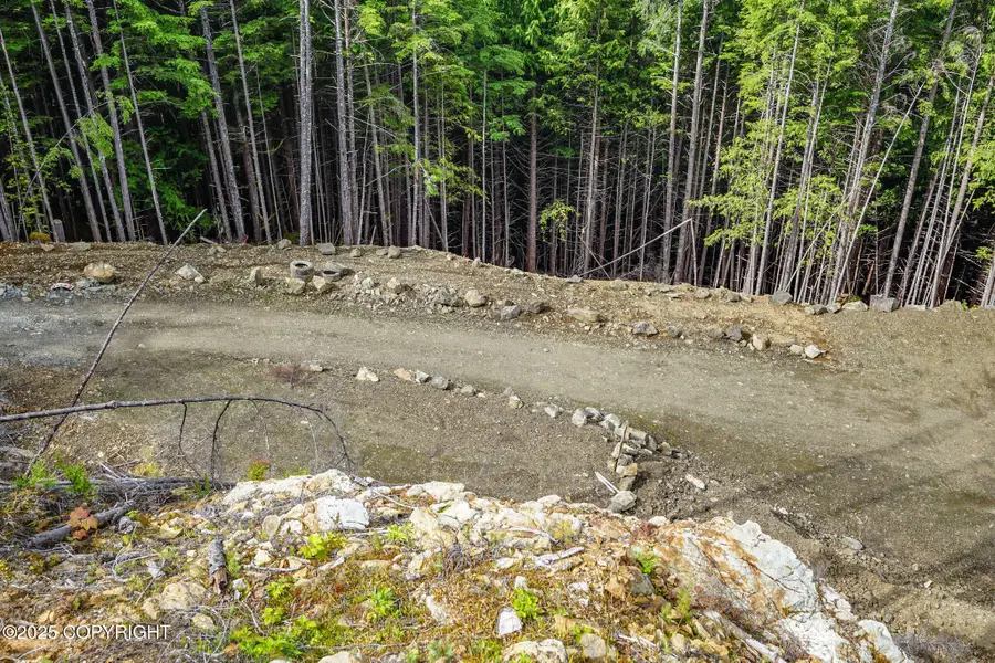 Lot4A B3 Fdr 3030 Road, Coffman Cove, AK 99918 - Image #2