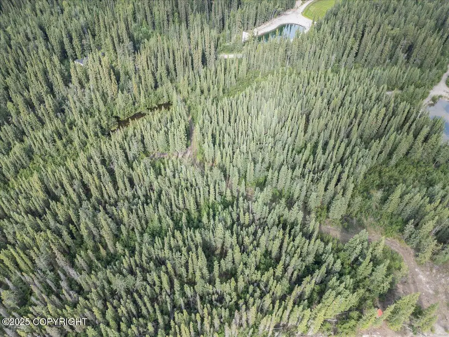 3995 Old Valdez Trail, Salcha, AK 99714 - Image #3