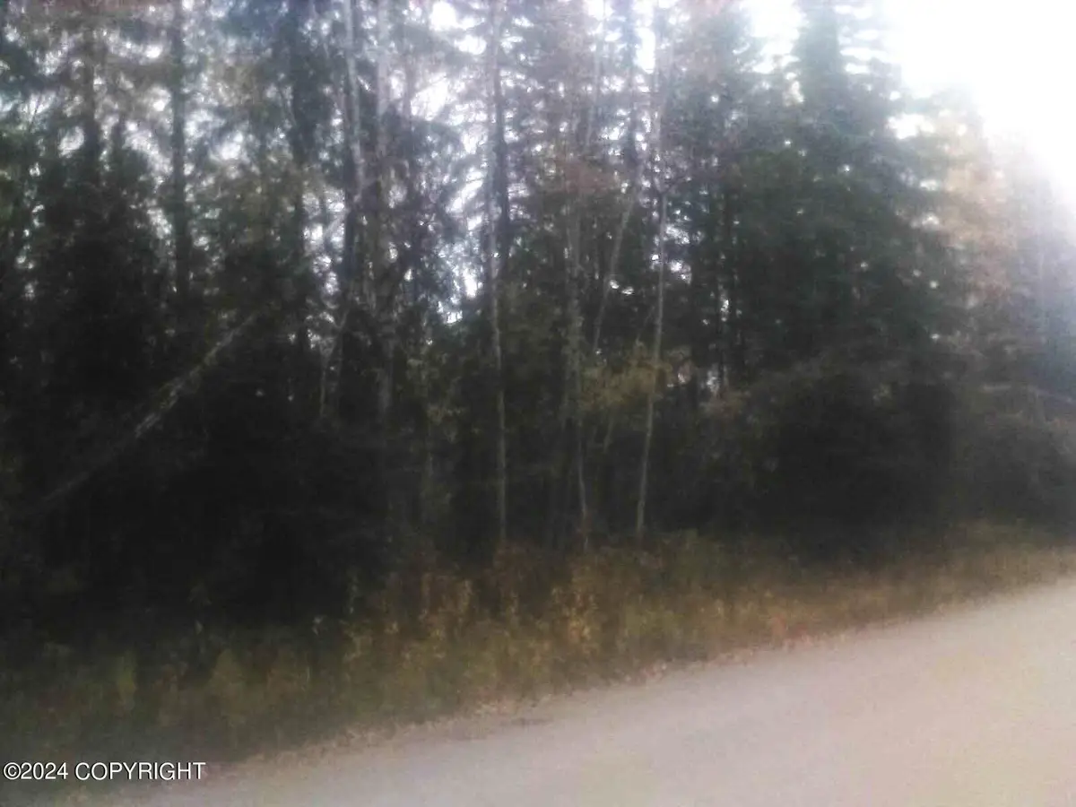 TL217 Old Valdez Trail, Salcha, AK 99714 - Image #1