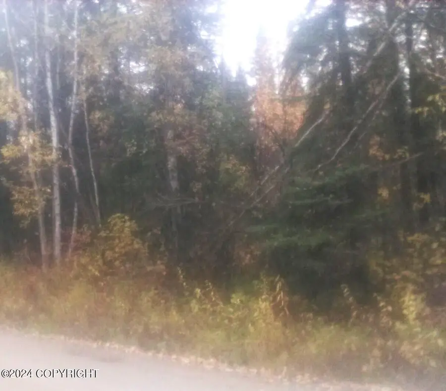 TL217 Old Valdez Trail, Salcha, AK 99714 - Image #3