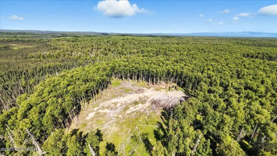 13964 W Little Jack Avenue, Wasilla, AK 99623 - Image #2