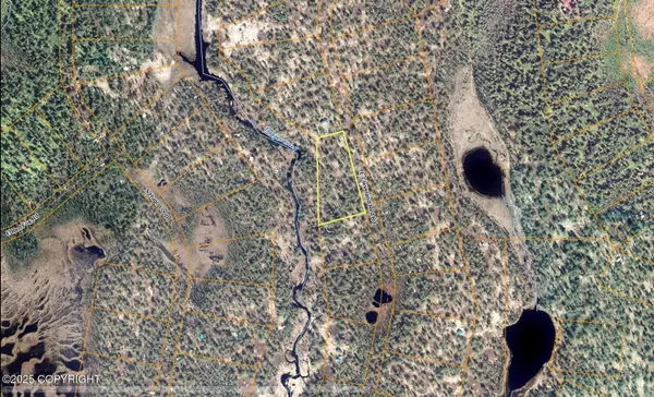 L6 B28 Trapper Creek (no Road), Trapper Creek, AK 99683