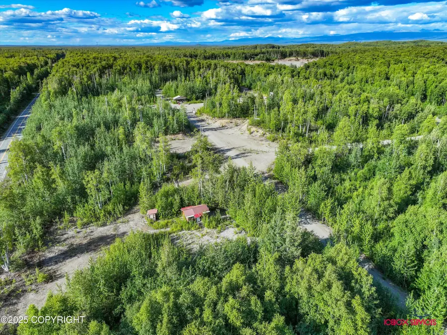24777 W Honeybee Lake Drive, Willow, AK 99688 - Image #3