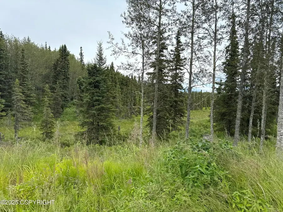 18242 Loveall Loop, Clam Gulch, AK 99568 - Image #2
