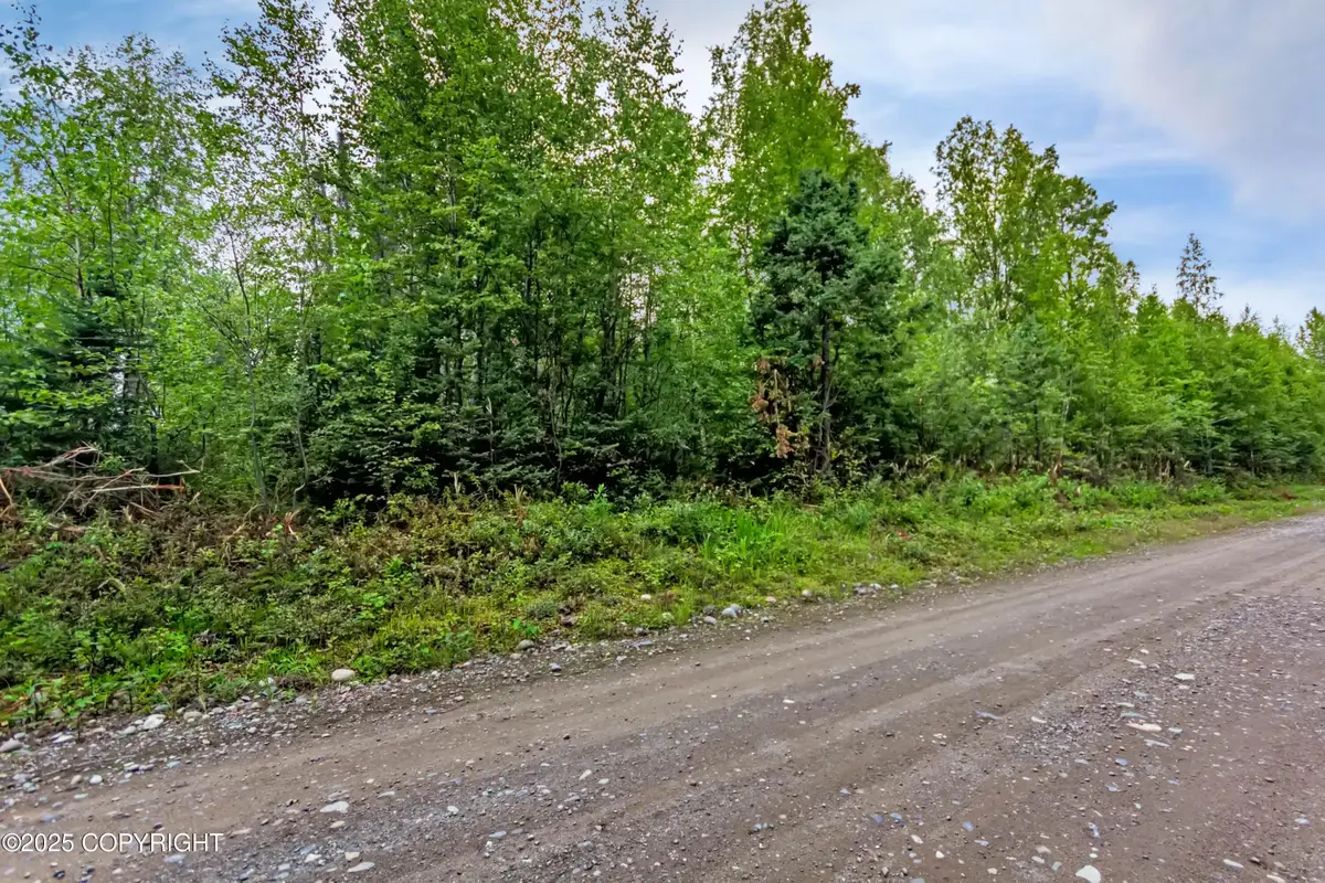 47100 S Bitin Drive, Willow, AK 99688 - Image #1
