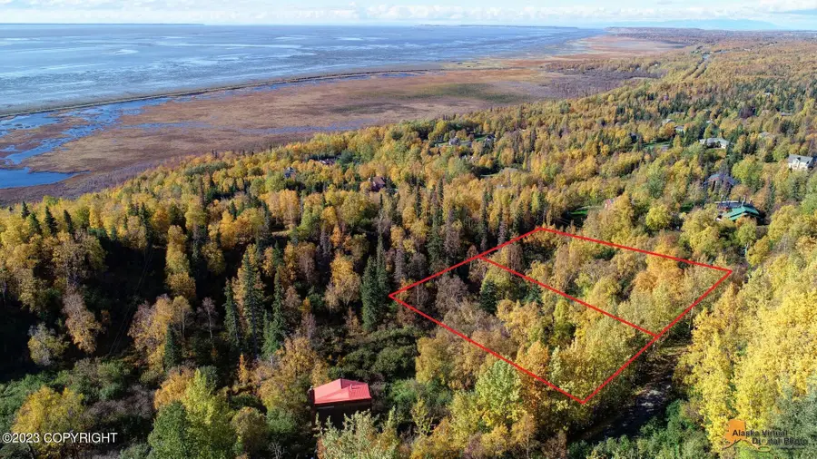 L9 & L10 Feodosia Drive, Anchorage, AK 99516 - #3