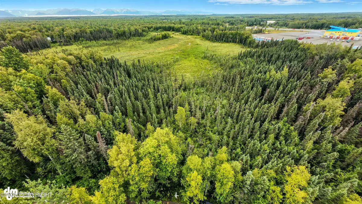 10996 W Airolo Drive, Houston, AK 99694 - Image #1