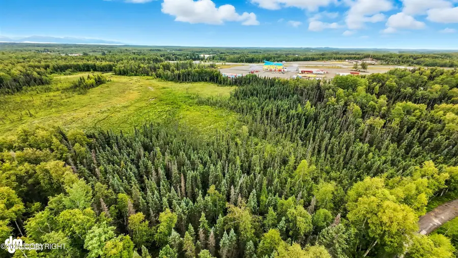 10996 W Airolo Drive, Houston, AK 99694 - Image #2