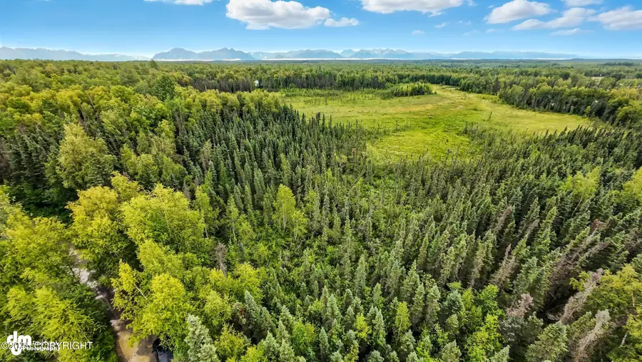 10996 W Airolo Drive, Houston, AK 99694 - Image #3