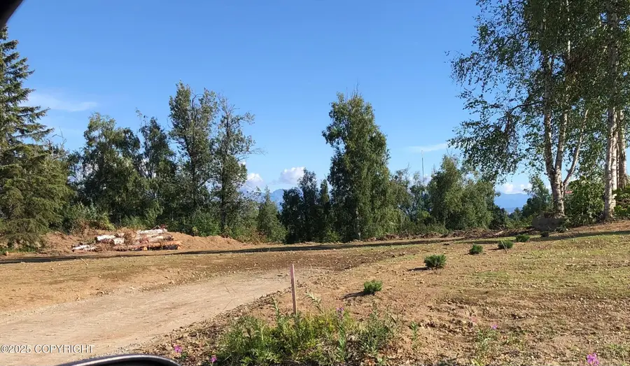 17562 W Bluebill Avenue, Wasilla, AK 99623 - Image #3