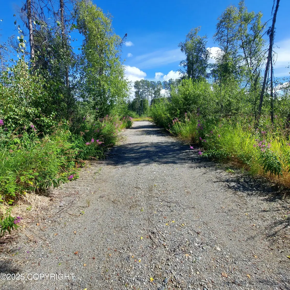 31327 S Salmon Ally Street, Talkeetna, AK 99676 - Image #1