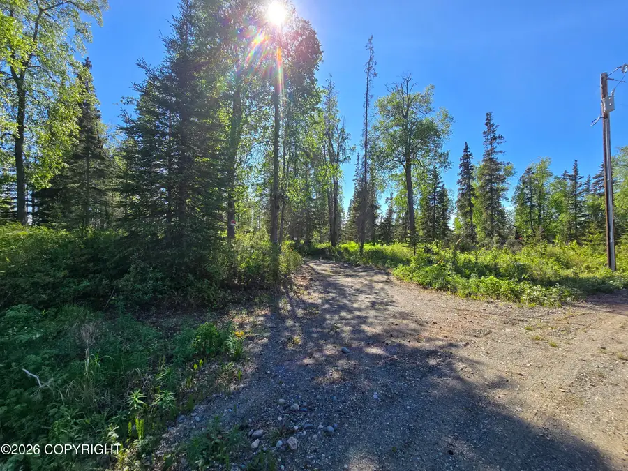 53871 Izigan Avenue, Nikiski, AK 99635 - #3