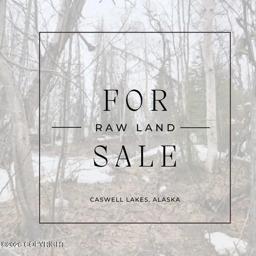 20052 E Spinner Avenue, Willow, AK 99688 - #1