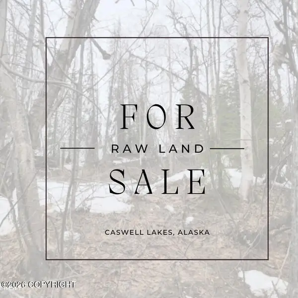 20052 E Spinner Avenue, Willow, AK 99688