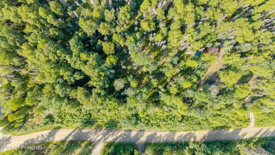 20209 W Allen Road, Willow, AK 99688 - #3