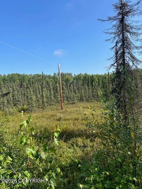 7833 S Irish Lane, Big Lake, AK 99652 - #1
