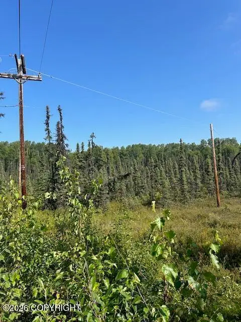 7833 S Irish Lane, Big Lake, AK 99652 - #2