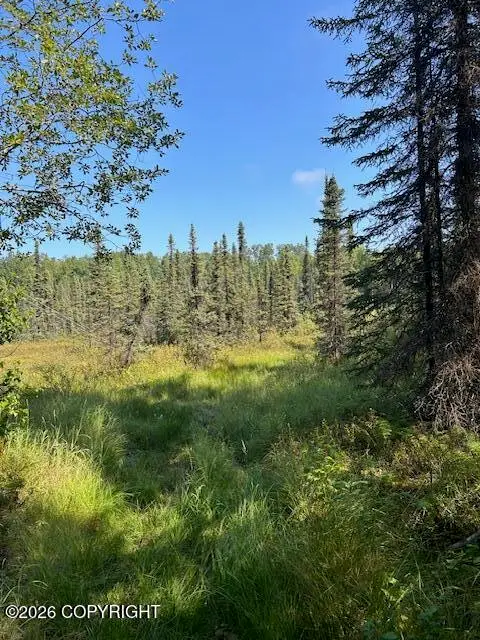 7833 S Irish Lane, Big Lake, AK 99652 - #3