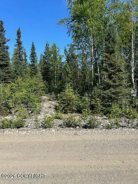 21247 W Dublin Court, Big Lake, AK 99652 - #1