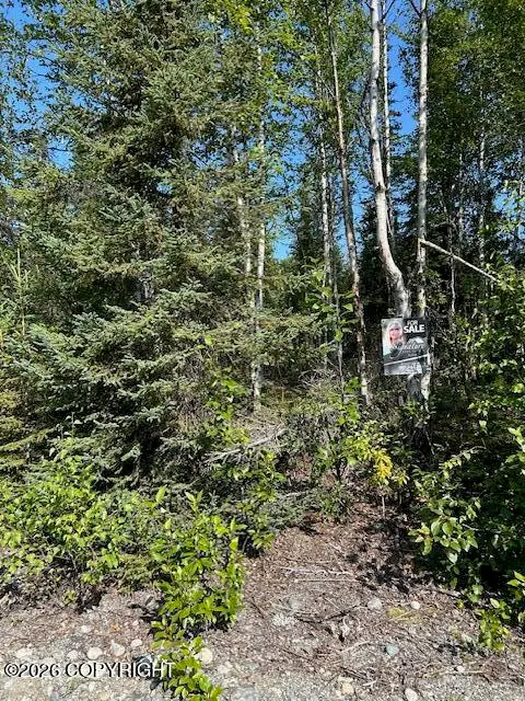 21247 W Dublin Court, Big Lake, AK 99652 - #3
