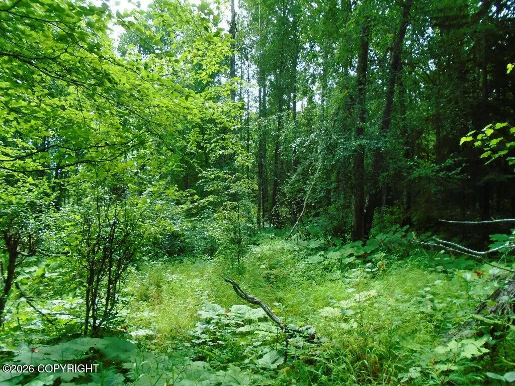 15032 W Necrason Drive, Big Lake, AK 99652 - #1