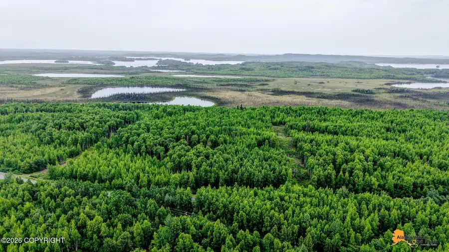 18334 W Lakes Boulevard, Big Lake, AK 99652 - #3